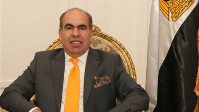 الهضيبي: الحكومة ومجلس أمناء الحوار الوطني تجمعهما حالة من التنسيق والتكامل