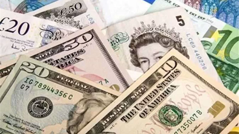 ضربة أمنية جديدة .. ضبط قضايا عملة بقيمة 21 مليون جنيه