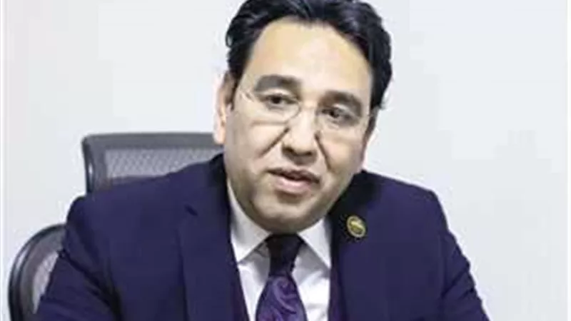 أيمن محسب يطالب بالضغط على إسرائيل لتنفيذ قرار مجلس الأمن بوقف إطلاق النار على غزة