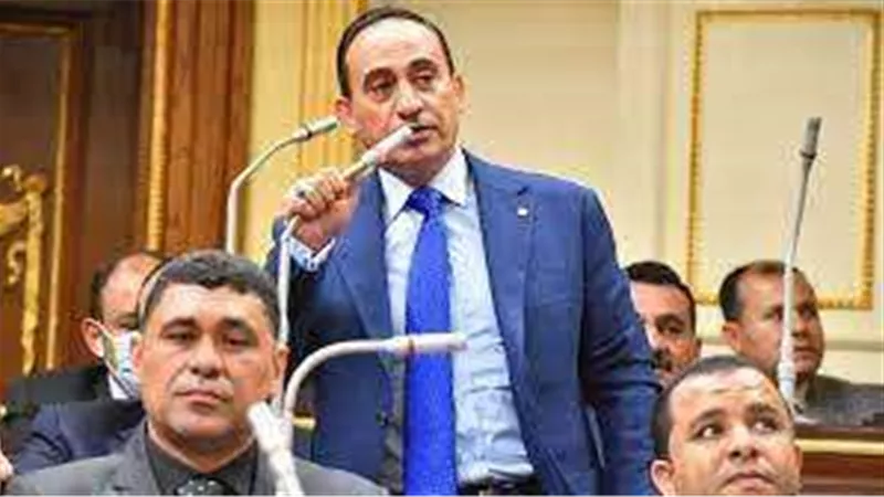 برلماني يطالب الحكومة بسرعة تنفيذ خطتها لتخفيض الأسعار