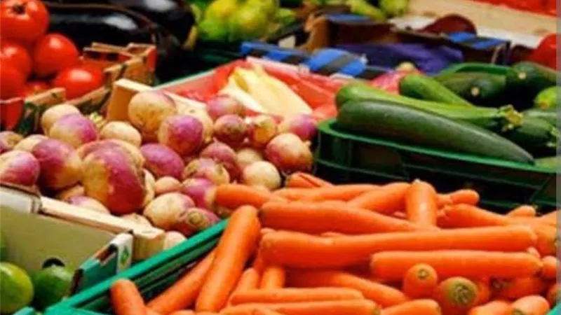 نقيب الفلاحين يكشف أسباب ارتفاع حصيلة الصادرات الزراعية المصرية