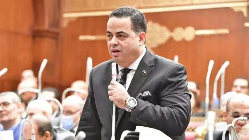 عصام هلال: الرئيس السيسي حقق نهضة شاملة في مختلف المجالات وتمكن من دحر الإرهاب