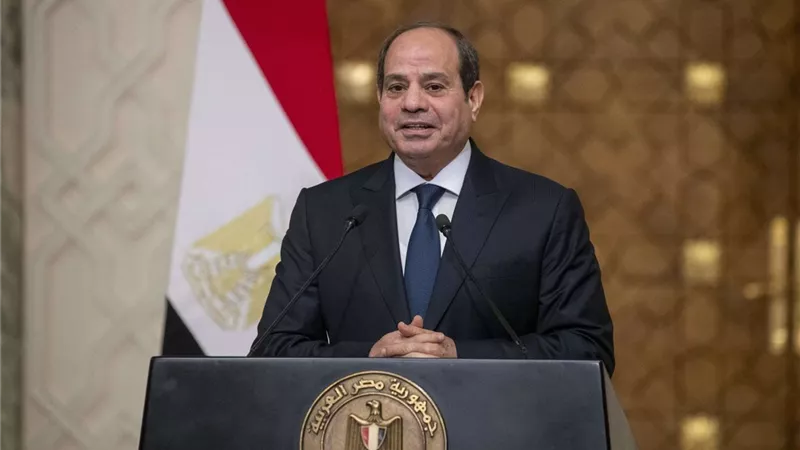 خاص| خبير اقتصادي: الرئيس السيسي الرجل المناسب لقيادة مصر في المرحلة المقبلة