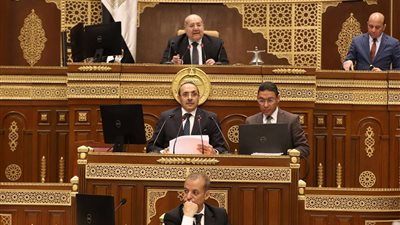 مجلس الشيوخ يناقش تحديات منظومة التأمين الصحي الشامل غدًا