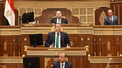 غدا .. مجلس الشيوخ يناقش تحديات منظومة التأمين الصحي الشامل والدور الاقتصادي للجزر الصناعية