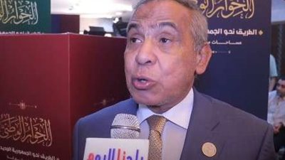 طارق رسلان: نتائج جهود مصر لاعتراف الأمم المتحدة بدولة فلسطين إيجابية