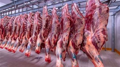 بعد تطبيق مبادرة خفض السلع.. متى تتراجع أسعار اللحوم الحمراء؟