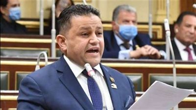 شحاته أبوزيد: الحكومة تعمل على خفض أسعار السلع الأساسية