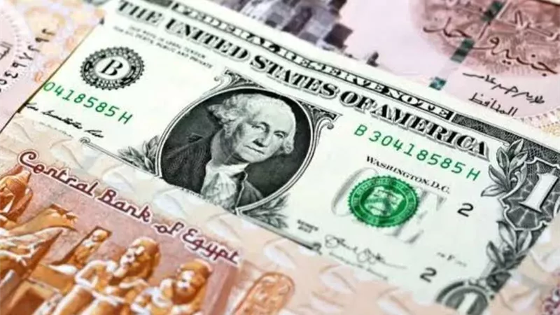 استقرار أسعار الدولار أمام الجنيه اليوم 19 إبريل 2024