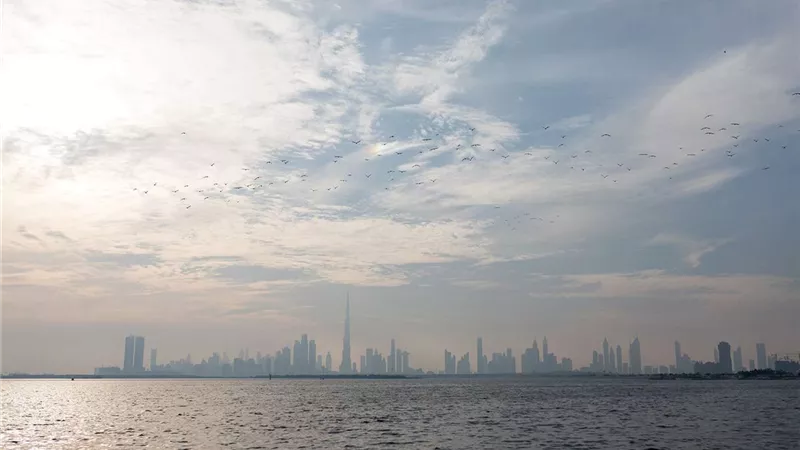 تحذير هام من الأرصاد الجوية لسكان الإمارات بشأن الأمطار