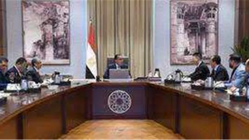 رئيس الوزراء يبحث سبل تشجيع صناعة الأسمدة للتوسع وزيادة حجم صادراتها