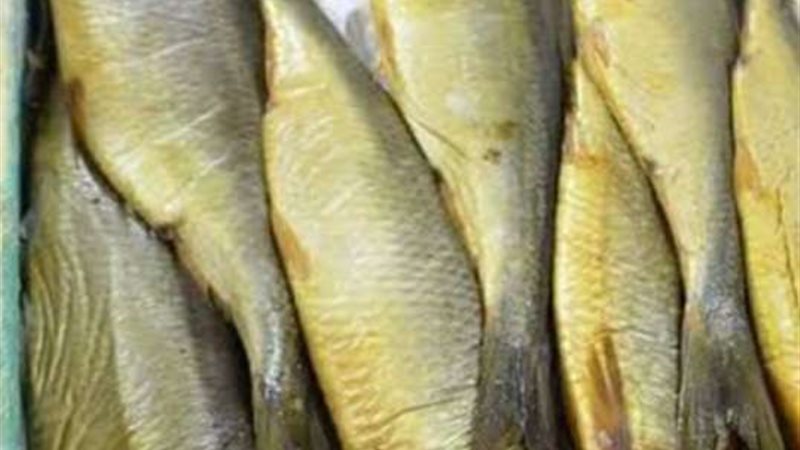 ارتفاع أسعار الفسيخ