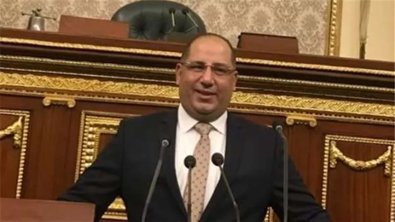 نويصر: توجيهات الرئيس السيسي بزيادة الرقعة الزراعية تعكس الرؤية الحكيمة لبناء المستقبل