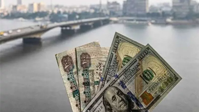الأخضر بكام اليوم؟.. استقرار سعر الدولار بالبنوك