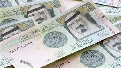 الريال السعودي بـ 12.51 جنيهًا .. أسعار العملات العربية في البنوك اليوم الخميس 16 مايو 2024