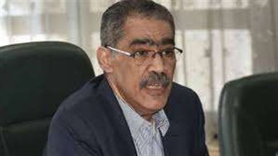 ضياء رشوان: الرئيس السيسي من حرك مسار الاعتراف الدولي بفلسطين