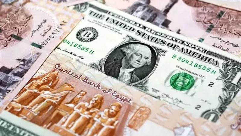 الأخضر بـ 46.55 جنيهًا.. سعر الدولار  في البنوك اليوم الثلاثاء 21 مايو 2024