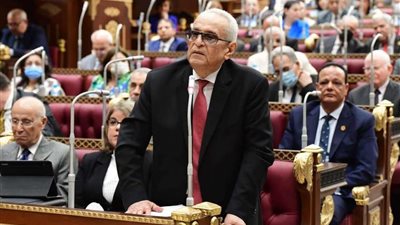 أبوشقة: إرادة الرئيس السيسي والمصريين صخرة تحطمت عليها التحديات