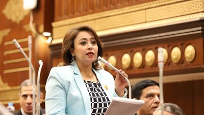 أمين سر «حقوق الشيوخ» تطالب بزيادة في مخصصات القطاع الصحي