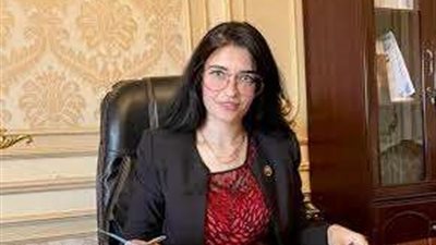 خاص|النائبة إيرين سعيد: إدارة المستثمرين في المنشآت الصحية تفوق إدارة الدولة