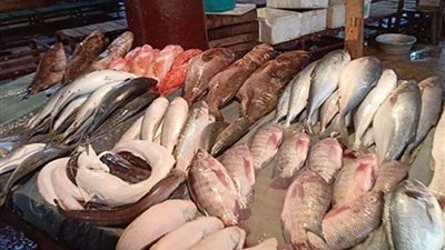 البلطي بـ 58 جنيهًا.. أسعار الأسماك والجمبري اليوم الثلاثاء 28 مايو 2024