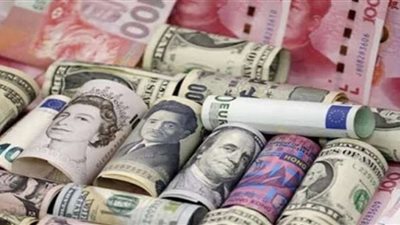 ضبط 12 مليون جنيه.. حصيلة جديدة لحملات وزارة الداخلية على السوق السوداء