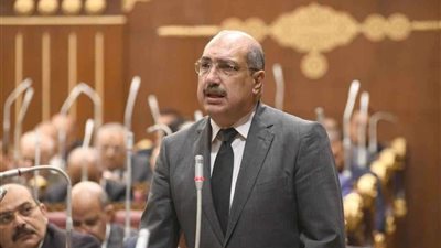 إيهاب وهبة: مناقشة الحوار الوطني لتداعيات السياسة الخارجية على الأمن القومي يدعم جهود الدولة في مواجهة التحديات