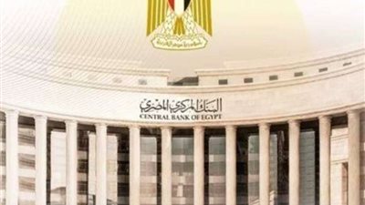 خبير اقتصادي: العاملون بالخارج أصبحوا يرسلون أموالهم عبر البنوك بعد استقرار سعر الصرف