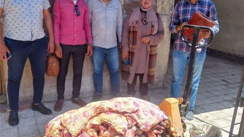 ضبط 460 كيلو لحوم فاسدة بسوهاج
