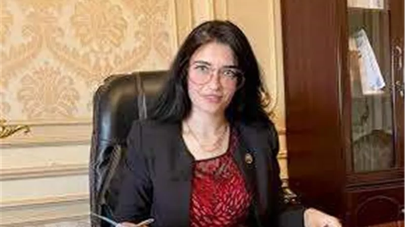 خاص|النائبة إيرين سعيد: إدارة المستثمرين في المنشآت الصحية تفوق إدارة الدولة