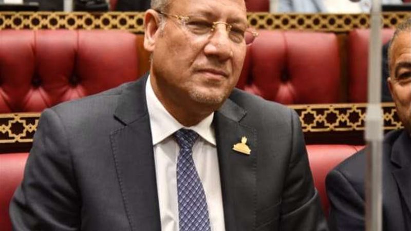 النائب عمرو عكاشة