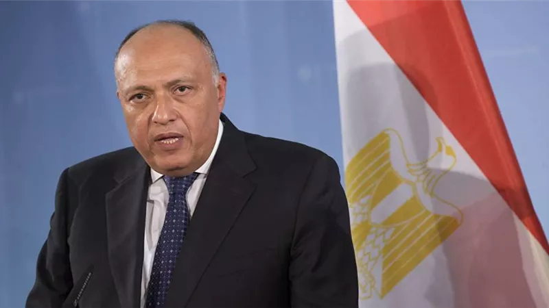 وزير الخارجية يكشف تفاصيل لقاء الرئيس السيسي بنظيره الصيني