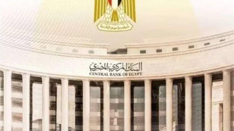 خبير اقتصادي: العاملون بالخارج أصبحوا يرسلون أموالهم عبر البنوك بعد استقرار سعر الصرف