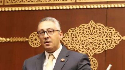 نائب التنسيقية يطالب بإطلاق منصة خاصة بالذكاء الاصطناعي الطبي