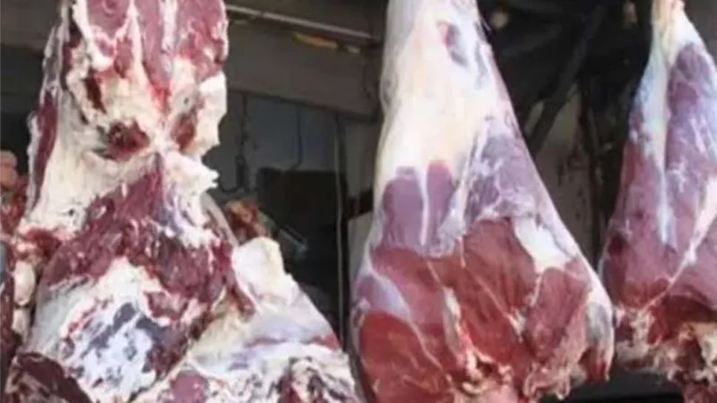 بـ 170 ألف جنيه.. الإنجيلية تشارك في مشروع صكوك أضاحي الأوقاف