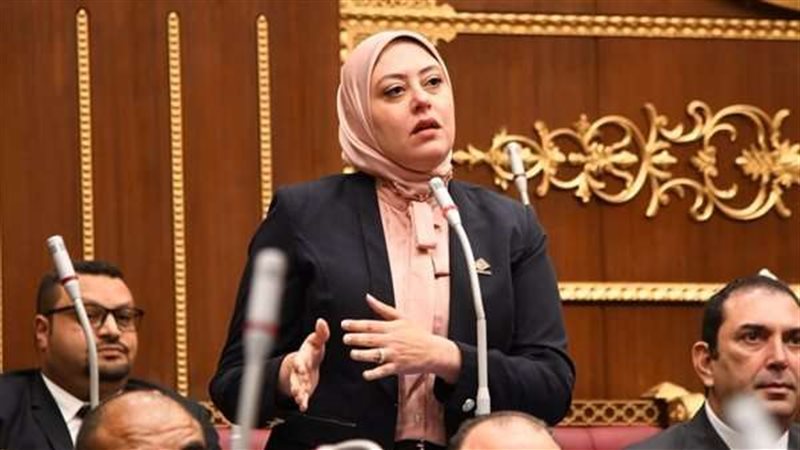 النائبة نهى أحمد