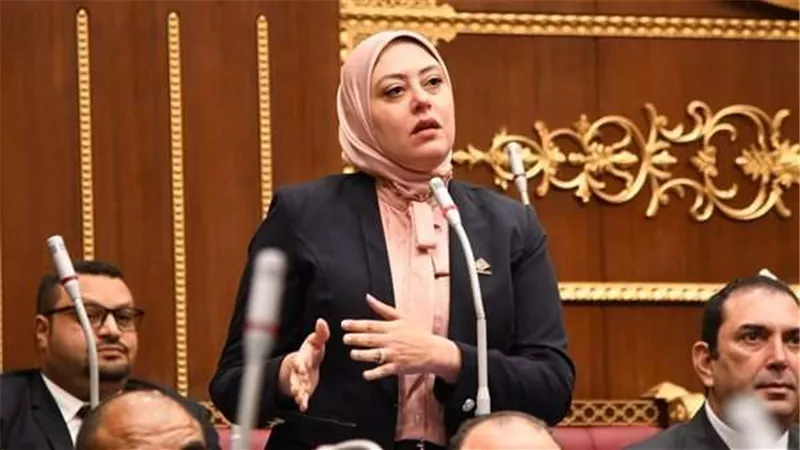نائبة التنسيقية نهى زكي توصي بتهيئة البنية التشريعية لحوكمة استخدام تطبيقات الذكاء الاصطناعي في مختلف المجالات