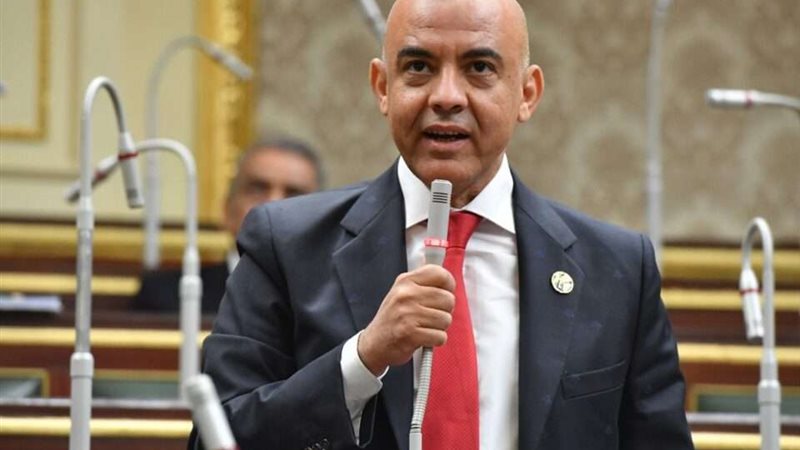  النائب عمرو هندى