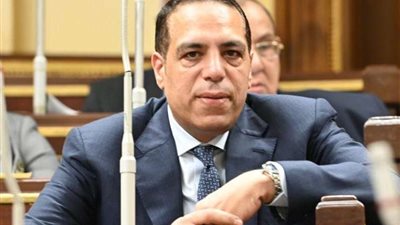 برلماني: جهود 