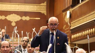 الجندي يثمن جهود الدولة المصرية في وقف إطلاق النار  وإتمام صفقة لتبادل الأسرى