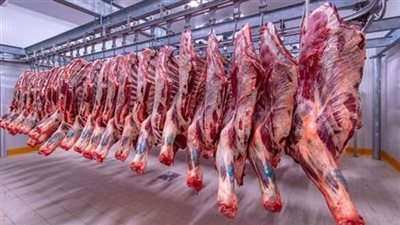 تضامن القليوبية: توزيع 20 طن لحوم للأسر الأولى بالرعاية