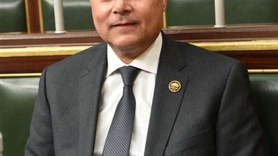 برلماني: إشادة مبعوث الرئيس بايدن بجهود مصر في الوساطة لوقف حرب غزة يؤكد التقدير العالمي لدورها