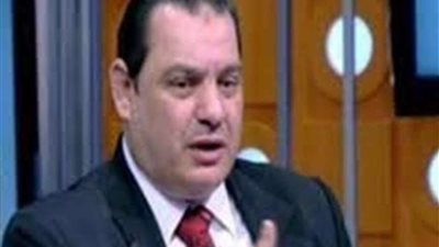 حقيقة إيقاف تراخيص شركات السياحة.. شعبة السياحة توضح