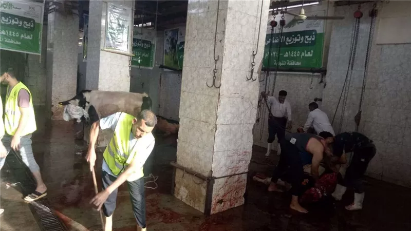 خلال أيام العيد.. ذبح 35 رأس ماشية بأشمون