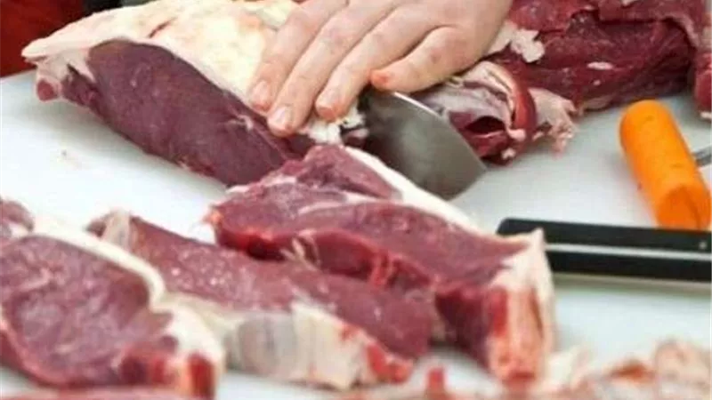 الزراعة: المجـ ازر تستقبل 9700 أضحية في ثاني أيام العيد