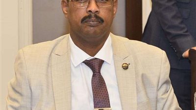 علي نور: 30 يونيو استرداد الوطن من خطر حكم جماعة الاخوان الارهابية