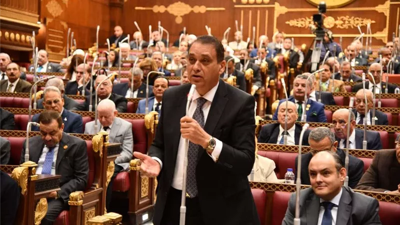 مجلس الشيوخ يستأنف عقد جلساته العامة الثلاثاء المقبل