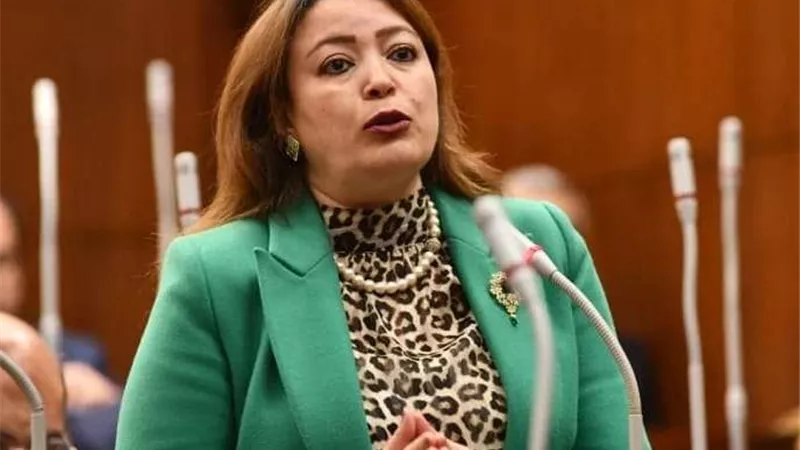 وكيل خارجية الشيوخ: إنشاء منتدى دائم للحوار والتنسيق بين دول إقليم القرن الإفريقي ضرورة ملحة