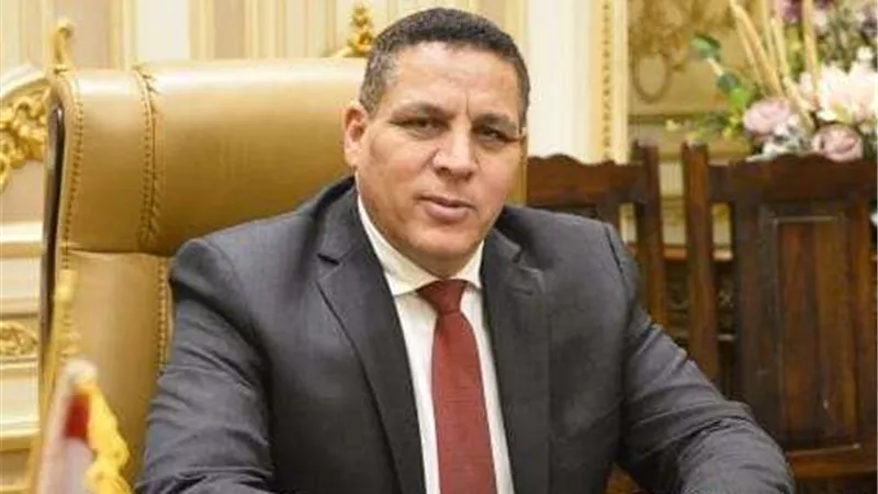 أحمد محسن: مخرجات مؤتمر الاستثمار  تعزز التكامل الاقتصادي مع الاتحاد الأوروبي