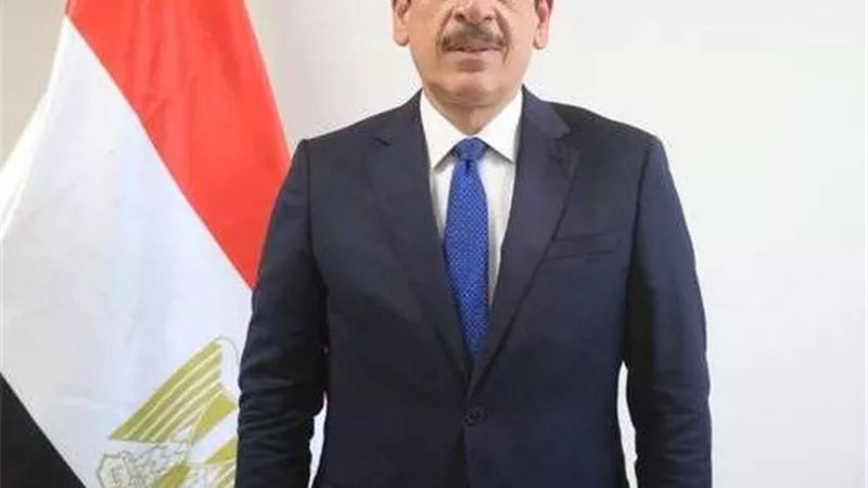 السيرة الذاتية.. الدكتور عمرو قنديل نائب وزير الصحة والسكان